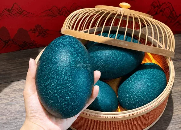 Đà Điểu Emu — ảnh 6